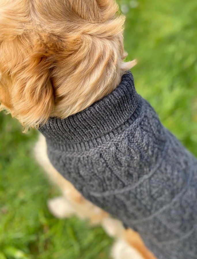 Aran Dog Coat - Image 10