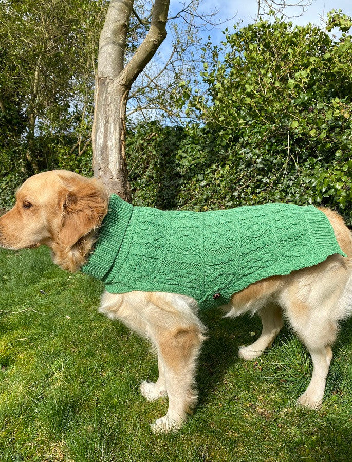 Aran Dog Coat - Image 11