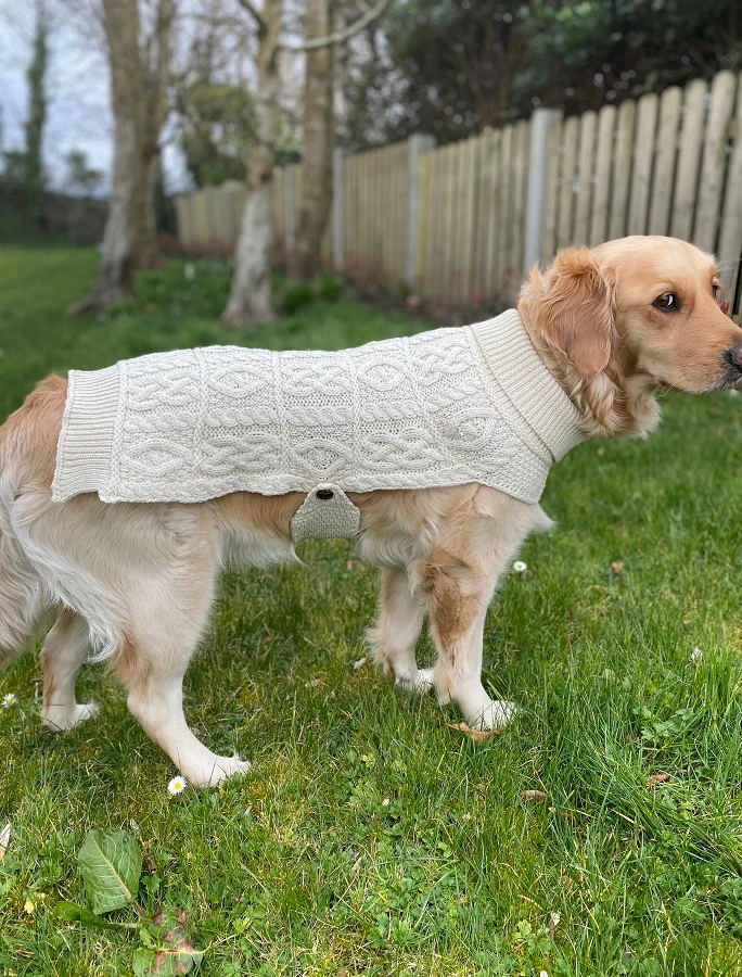 Aran Dog Coat - Image 12