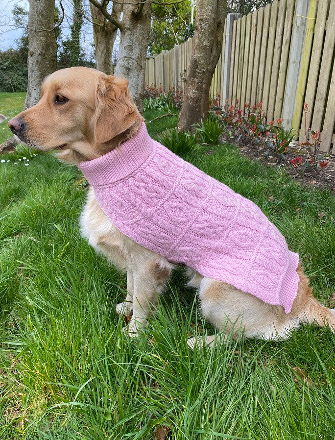 Aran Dog Coat - Image 4