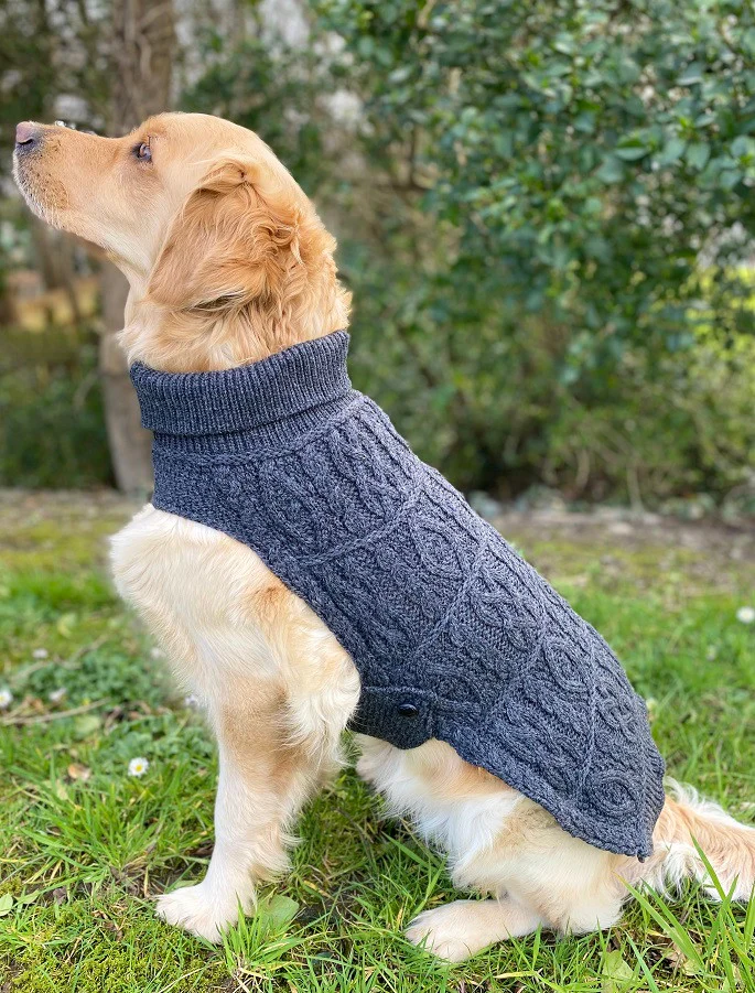 Aran Dog Coat - Image 8